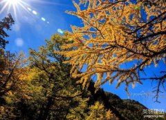 望城網頁制作流程是什么？